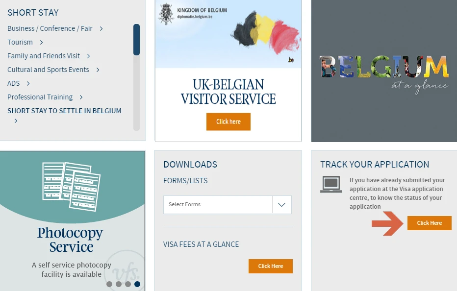 Embassy-of-Belgium-in-Beijing-Track-Application